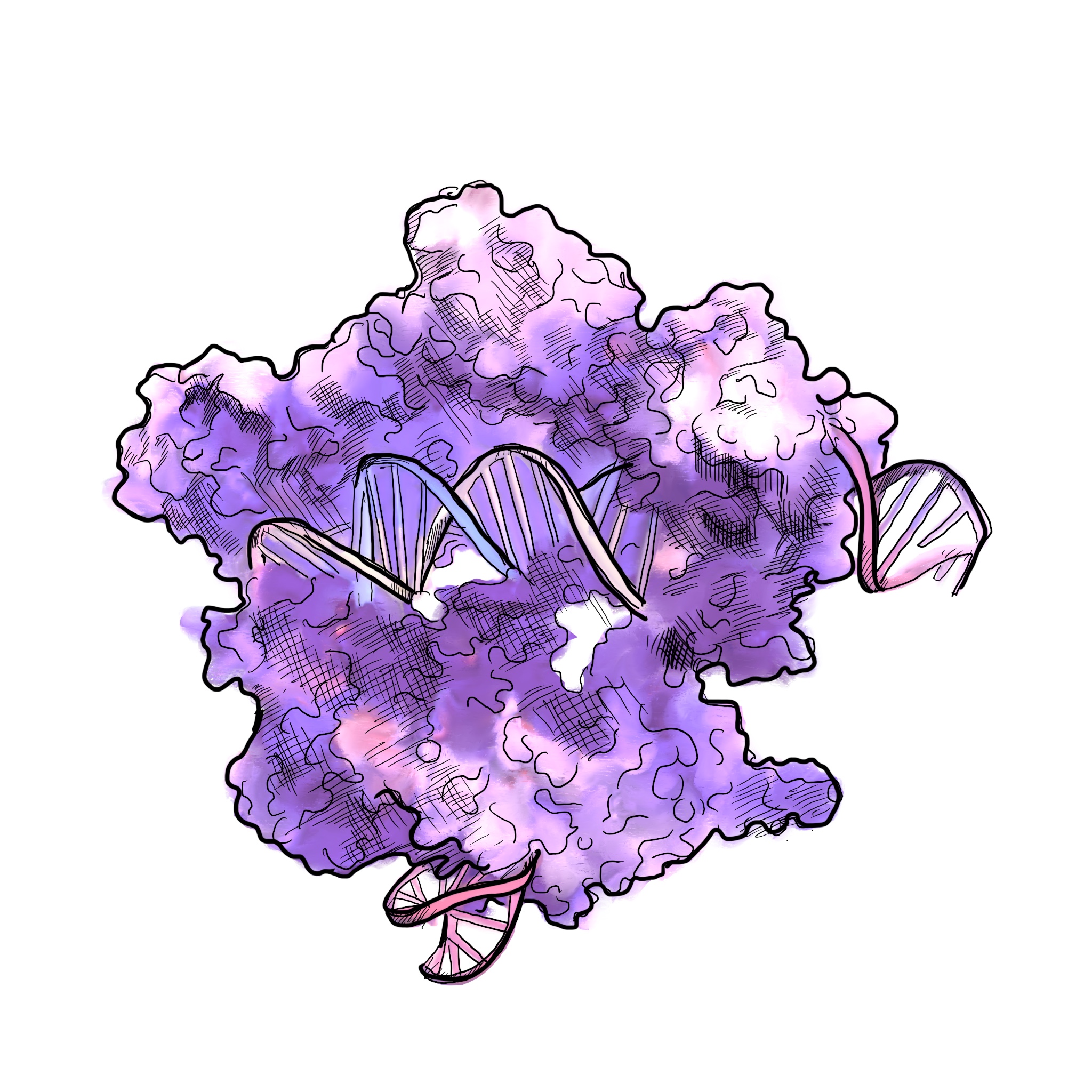 Cas9 protein illustration binding DNA